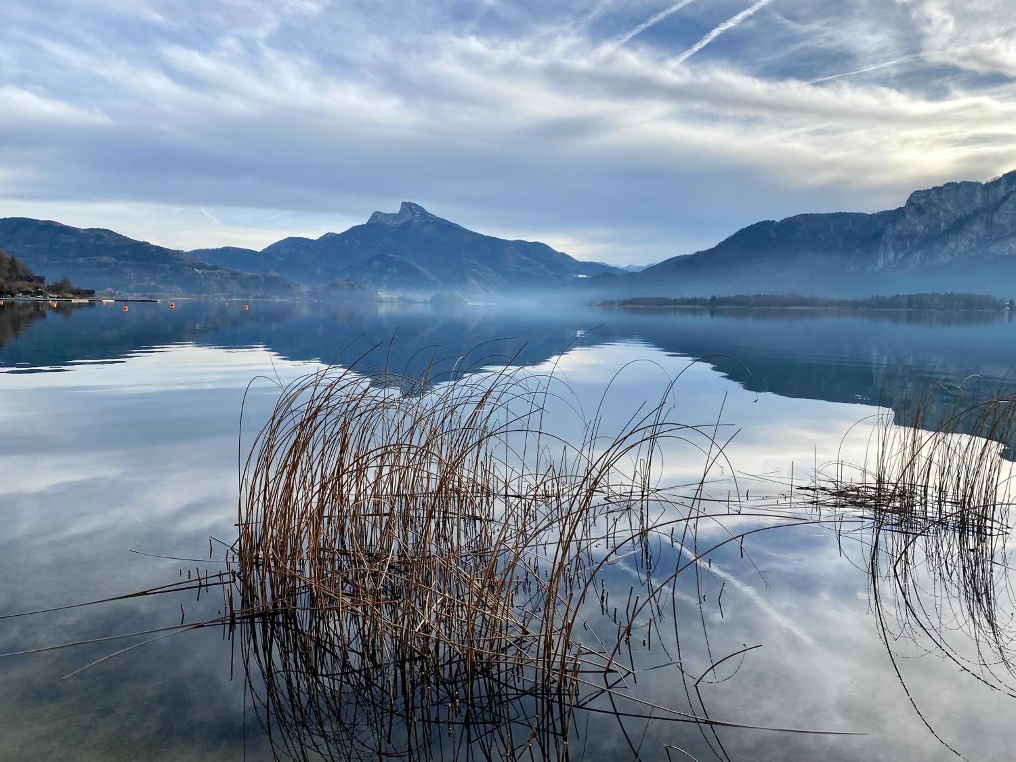 17Er Apartment Mit Sauna Und Privater Garage Mondsee Dış mekan fotoğraf