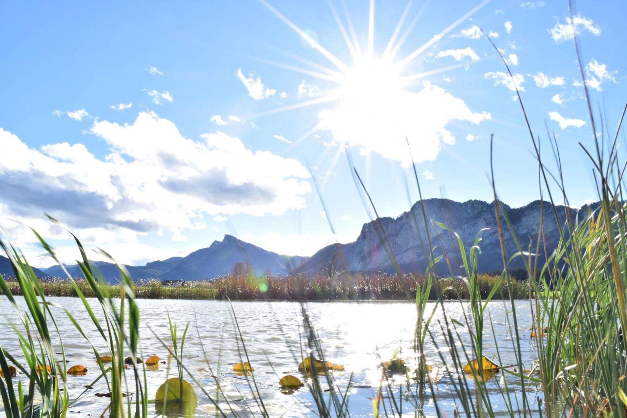 17Er Apartment Mit Sauna Und Privater Garage Mondsee Dış mekan fotoğraf
