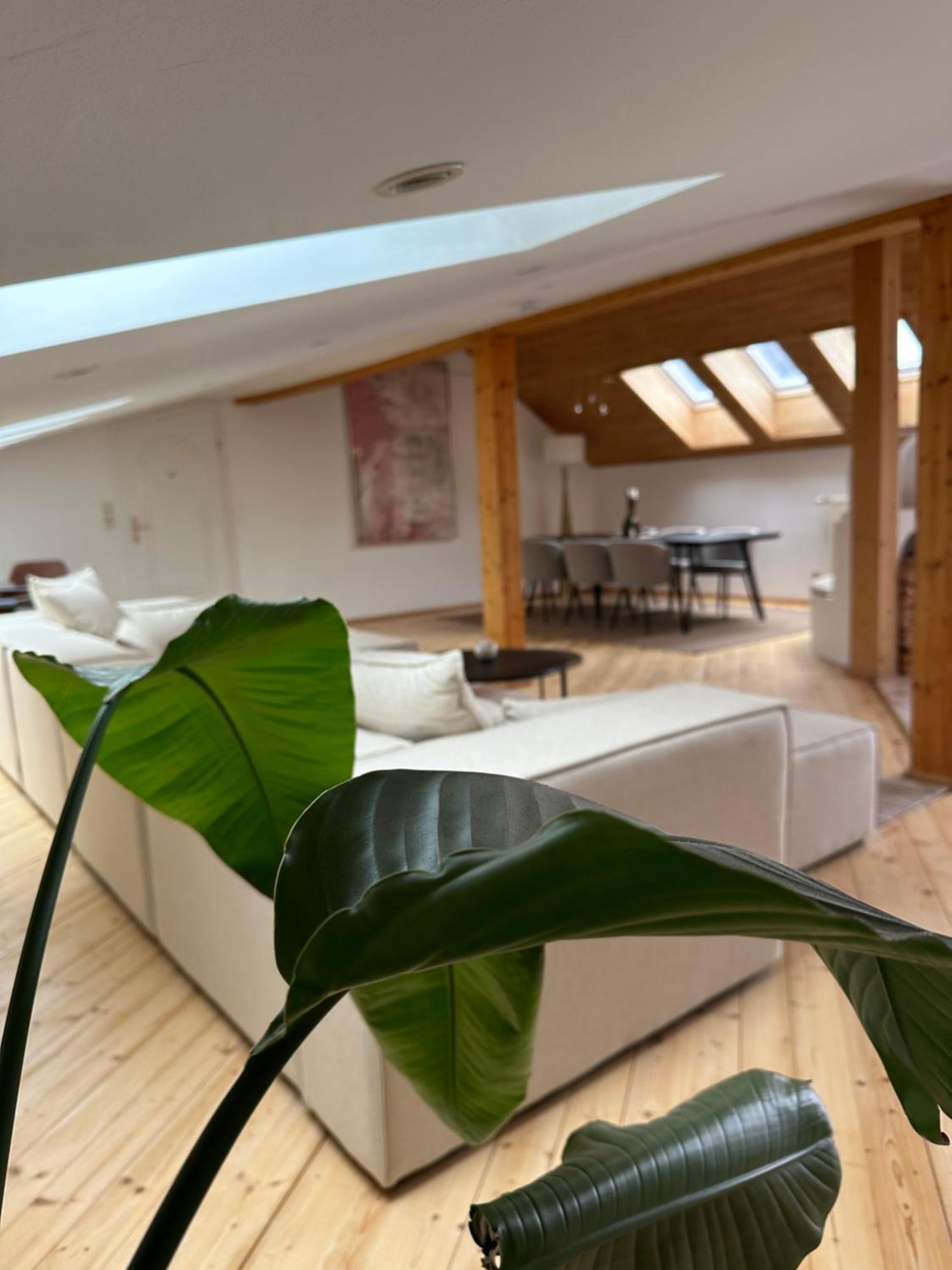 17Er Apartment Mit Sauna Und Privater Garage Mondsee Dış mekan fotoğraf